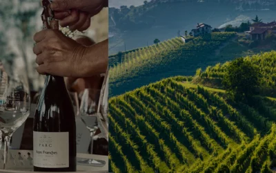 Aymeric Amiel à Suède – Vinmakarmiddagar Mars 2026